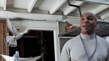 <b>PAZ. </b>Tyson siente pasión por las palomas desde niño, y aún mantiene un palomar. Entre ellas encuentra paz, la que le hará falta para desnudarse por dentro en el show.