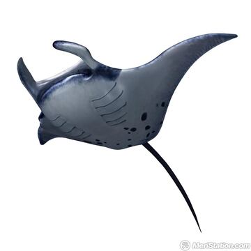Captura de pantalla - me0000857323_2_0.jpg