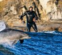 Grabar a delfines surfeando olas gigantes, tan arriesgado como difícil