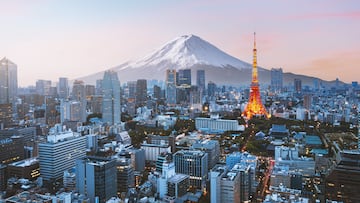 Mt. Fuji and Tokyo skyline