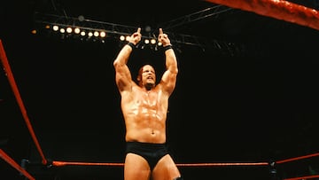 "Stone Cold" también ha tenido una carrera en el cine, principalmente en el género de acción y thriller. Entre sus películas más notables están: 'Los Mercenarios', 'La isla de los condenados', 'El clan de los rompehuesos' y 'Niños grandes 2'.