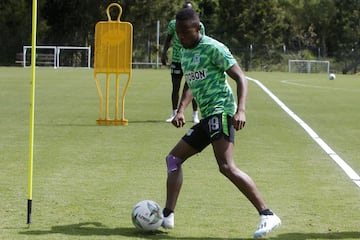 El equipo verde, líder de la Liga Águila y ya clasificado a los cuadrangulares, cuenta de nuevo con su técnico Juan Carlos Osorio. Pompilio Páez estuvo a cargo durante los últimos partidos.