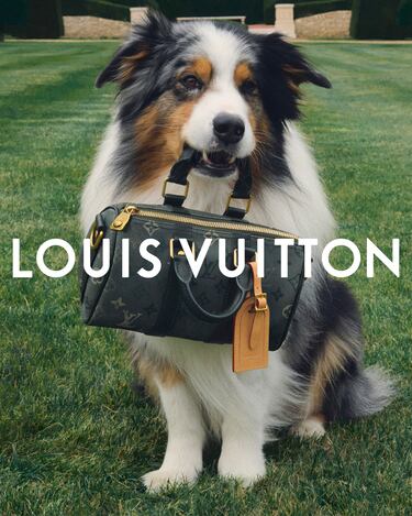 Bellingham y Louis Vuitton unen sus caminos