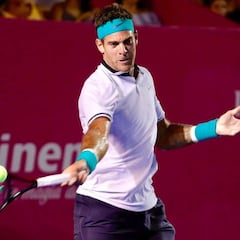 Del Potro vence a Dzumhur y disputará la final ante Fognini