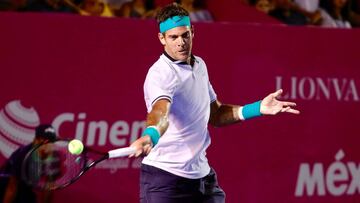 Del Potro vence a Dzumhur y disputar¨¢ la final ante Fognini