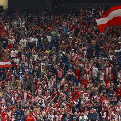 Liga MX abre investigación contra Chivas