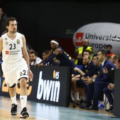 Final Four Euroliga 2019: MVP, jugadores y entrenador del Real Madrid