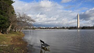 Flooded bench at the Tidal Basin
