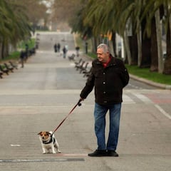 Estado de alarma: prohibido ir en bici, patinar, surfear, esquiar...