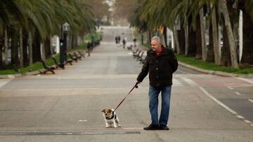 GRAF6971. BARCELONA, 15/03/2020.- Un hombre pasea a su perro en Barcelona este domingo en el que termina la semana hasta ahora m&aacute;s critica por la epidemia de coronavirus con el arranque de las medidas decretadas por el Gobierno ante la crisis, que 