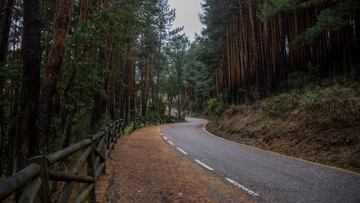Los 6 bosques m¨¢s impresionantes de Espa?a para visitar en los meses de oto?o