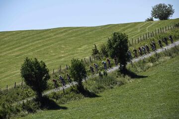 El pelotón durante la décimo quinta etapa del Tour de Francia de 2017. 