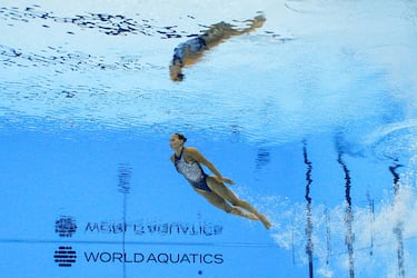 Iris Dio se queda con Rosalia, SunGutos y World Bronze