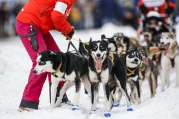 Acto ceremonial del comienzo de la carrera de trineos con perros que se celebró el pasado sábado en Anchorage, Alaska.