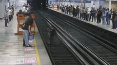 Rescatan a perrito en vías de la Línea 2 del Metro CDMX