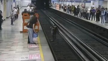 Rescatan a perrito en vías de la Línea 2 del Metro CDMX