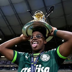 Endrick’s goal gives Palmeiras the Brasileirão title