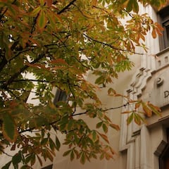 Un pensionista se da de alta de autónomos 6 años después de jubilarse: ahora tendrá que pagar 10.000 euros a la Seguridad Social