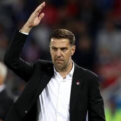 El seleccionador serbio carga duramente contra Félix Brych