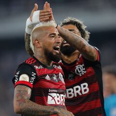 Botafogo 0, Flamengo 1, Brasileirao: gol de Arturo Vidal, resumen y resultado