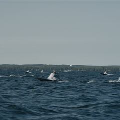 El país fronterizo con Ucrania que prepara un enjambre de drones marinos ante un potencial choque en el Báltico