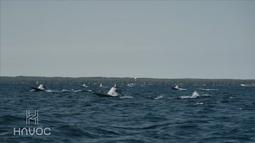 El país fronterizo con Ucrania que prepara un enjambre de drones marinos ante un potencial choque en el Báltico