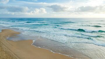 El animal, de entre 1,5 y 2 metros de largo, ha sido avistado por al menos cinco testigos, que reportaron el incidente a las autoridades locales.