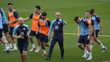 Sergio Pellicer guia al grupo.