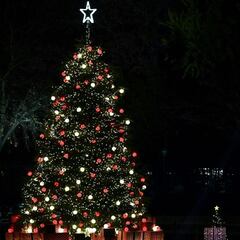 Social Security COLA 2022: how much is the increase on benefits?