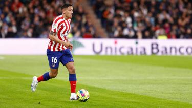 Nahuel y el bambú japonés