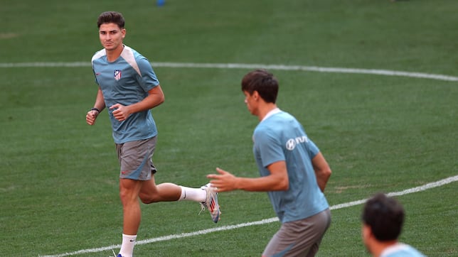 El tiempo de la Araña