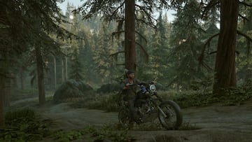 Days Gone