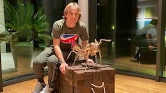 Why Ramos and Modric are buying €5,000 bronze ants