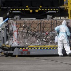 Curva del coronavirus en Chile hoy, 26 de mayo: ¿cuántos casos, contagios y muertes hay?