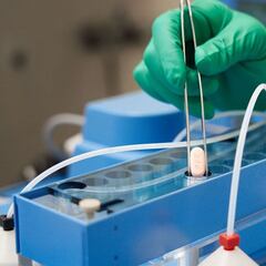 Estados Unidos: FDA aprueba la primera píldora contra el coronavirus