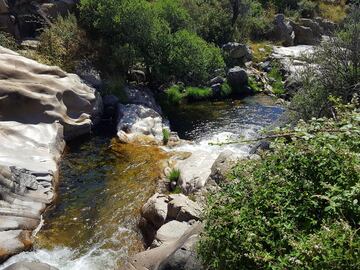 También en La Pedriza nos encontraremos con una ruta que sigue el cauce del río Manzanares, que esconde la Charca Verde, una piscina natural de agua transparente que nos conquistará. También podremos detenernos en su mirador para ver el paisaje que permite la sierra de Guadarrama. 