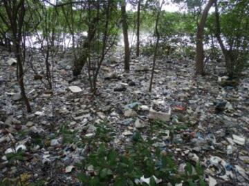 Así están las aguas de Río a pocos días de los JJ.OO.