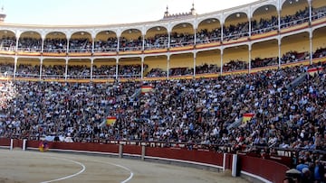 Ni deportistas ni artistas: esta es la profesión que tiene que justificar 150 festejos para cotizar a la Seguridad Social