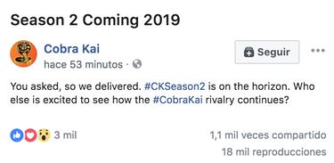 Cobra Kai: La serie estrella de YouTube Red anuncia segunda temporada