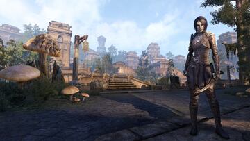 Captura de pantalla - The Elder Scrolls Online: Morrowind (PC)