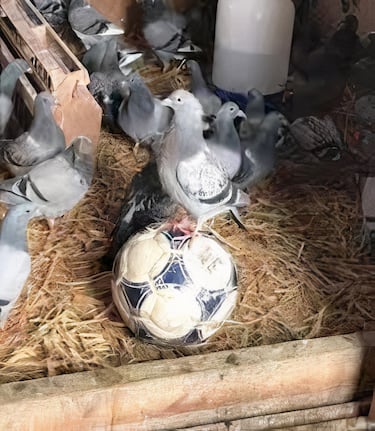 Los memes destrozan al Manchester United tras su derrota en la final de la Europa League