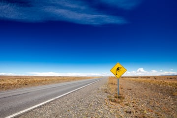 La se?al de tr¨¢fico representa una palmera volando, es un s¨ªmbolo caracter¨ªstico en algunas regiones de la Patagonia y otras ¨¢reas donde los vientos fuertes son comunes. Esta se?al advierte a los conductores sobre la posibilidad de r¨¢fagas de viento intenso que pueden afectar la estabilidad de veh¨ªculos, especialmente aquellos m¨¢s altos o ligeros.