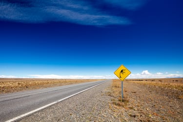 La señal de tráfico representa una palmera volando, es un símbolo característico en algunas regiones de la Patagonia y otras áreas donde los vientos fuertes son comunes. Esta señal advierte a los conductores sobre la posibilidad de ráfagas de viento intenso que pueden afectar la estabilidad de vehículos, especialmente aquellos más altos o ligeros.