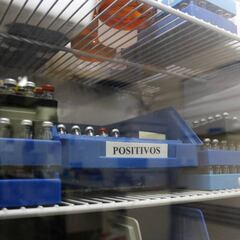 La AMA pone a la CELAD, la agencia española antidopaje, bajo vigilancia