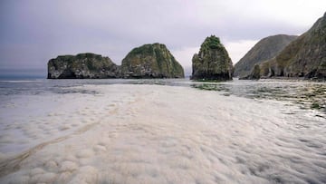 This handout picture released by Greenpeace on October 5, 2020 shows the water area near the Khalaktyr beach on the Kamchatka peninsula. - A Russian official said on October 5 that the sea off the remote Kamchatka peninsula may have been contaminated with