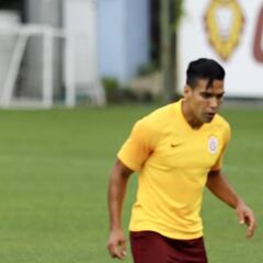 Terim avisa que Falcao podría no jugar más en la temporada