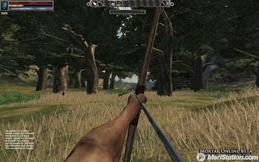 Mortal Online, Impresiones