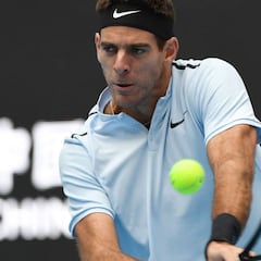Del Potro, Kyrgios y Dimitrov pasan de ronda en Pekín