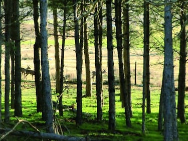 Momentos de un instante