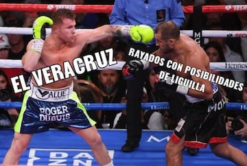 Canelo Álvaraez triunfa por KO también en los memes